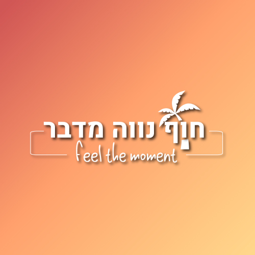 חוף נווה מדבר